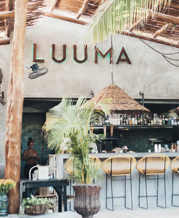 Holbox. The Guide _ Paper | Massimo Dutti