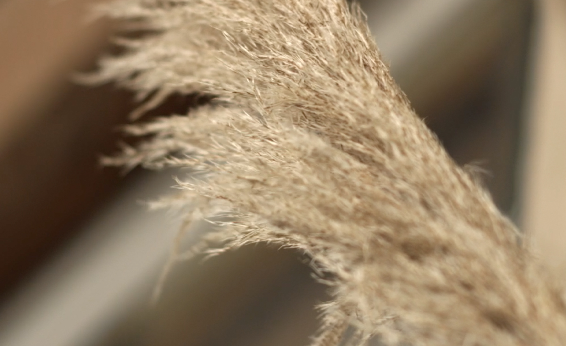 Paper | Massimo Dutti