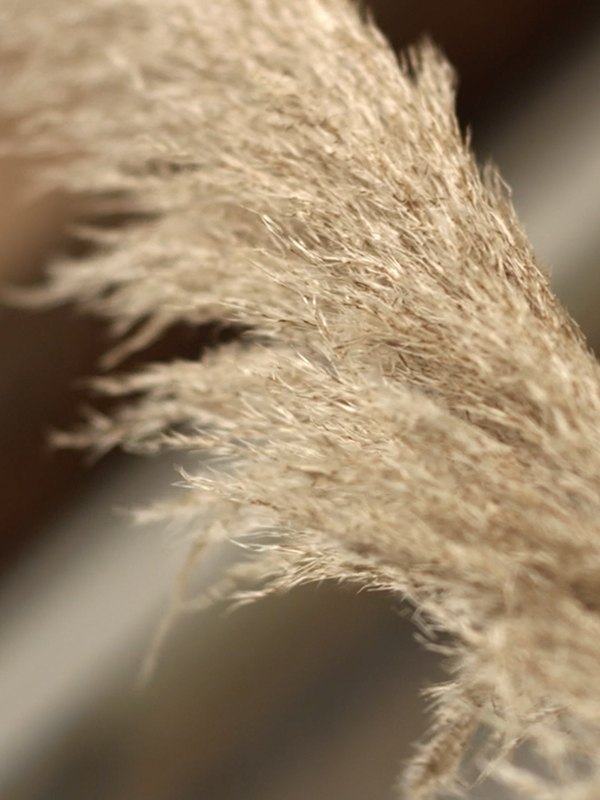 Paper | Massimo Dutti