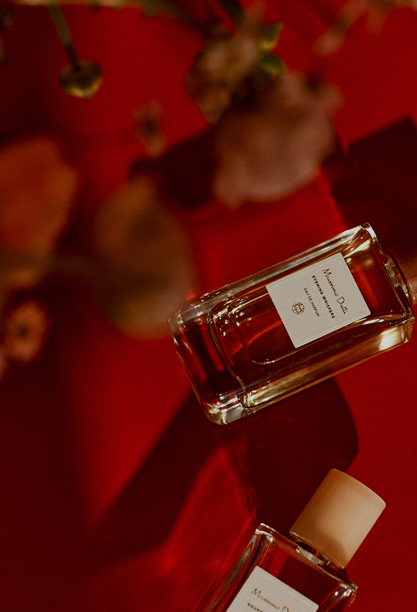 Paper | Massimo Dutti