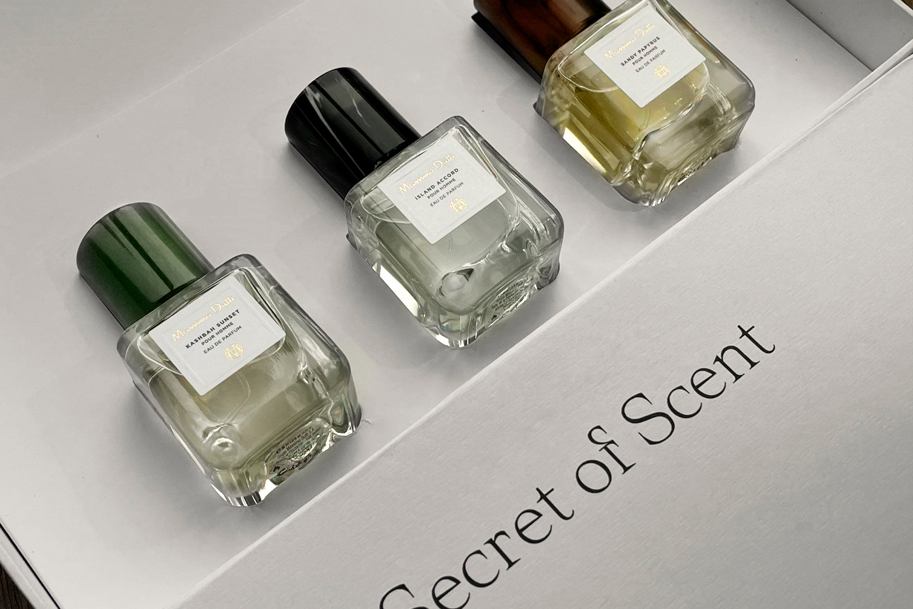 Paper | Massimo Dutti