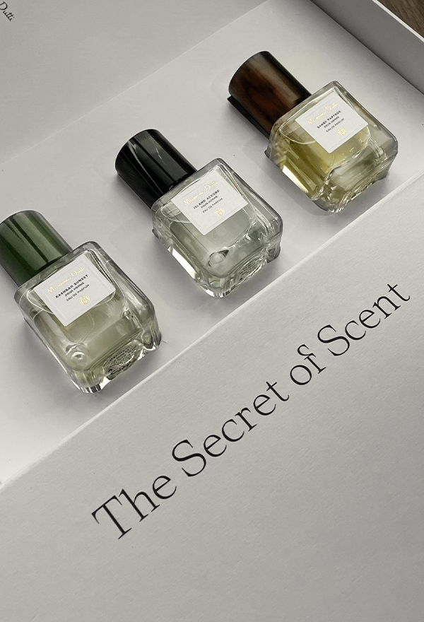 Paper | Massimo Dutti