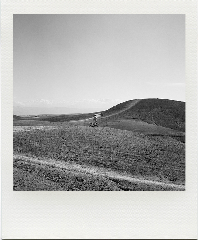 Limited Edition SS 22