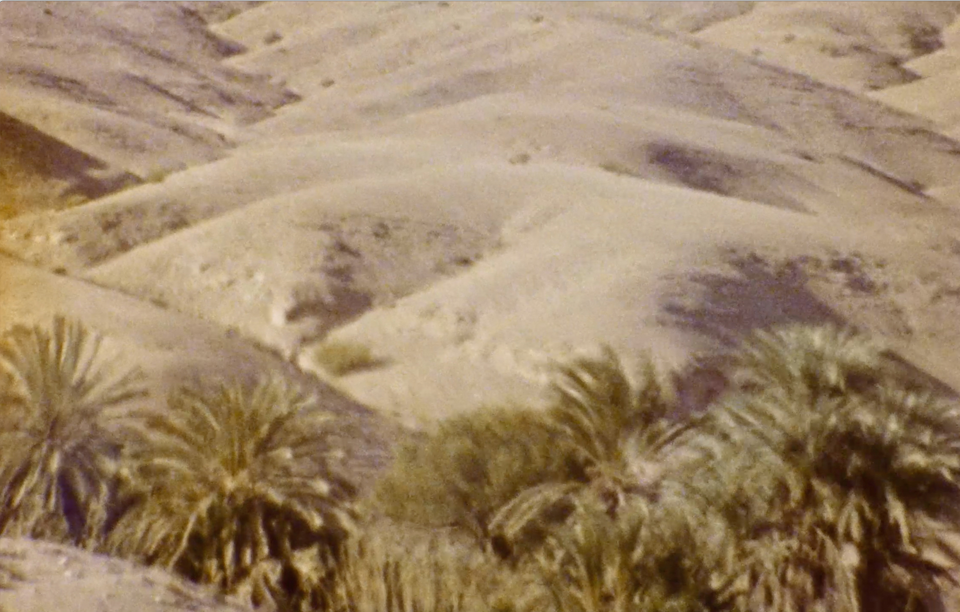 Paper | Massimo Dutti