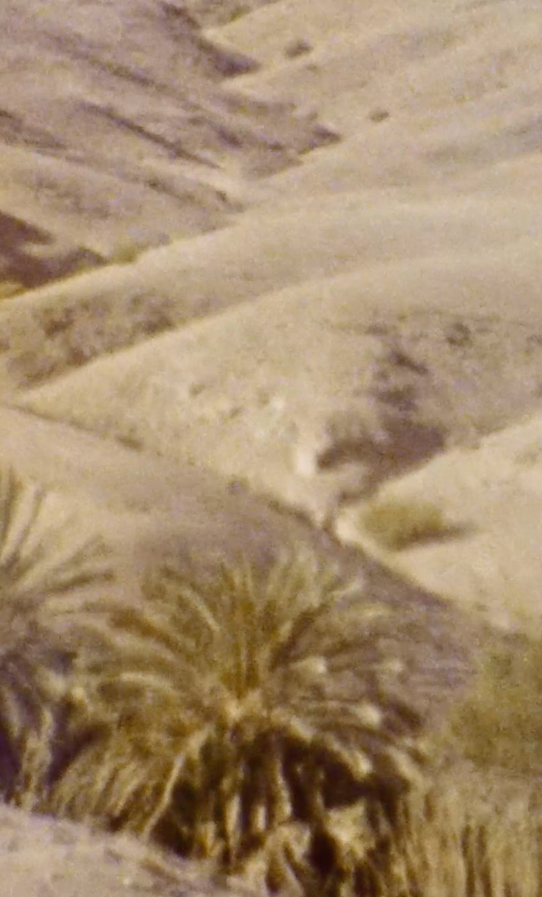 Paper | Massimo Dutti