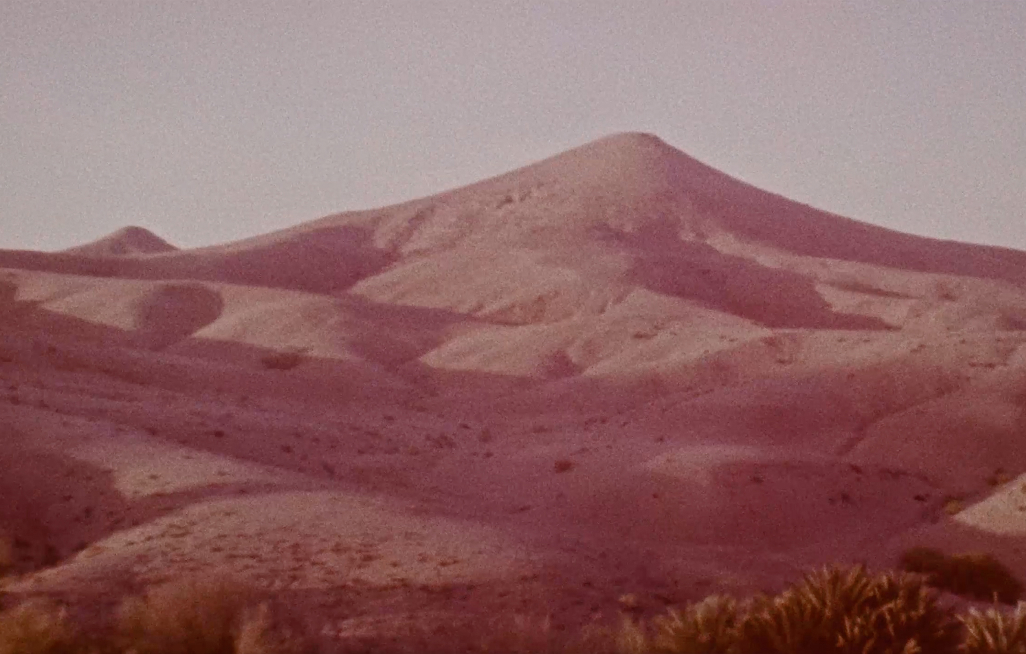 Paper | Massimo Dutti