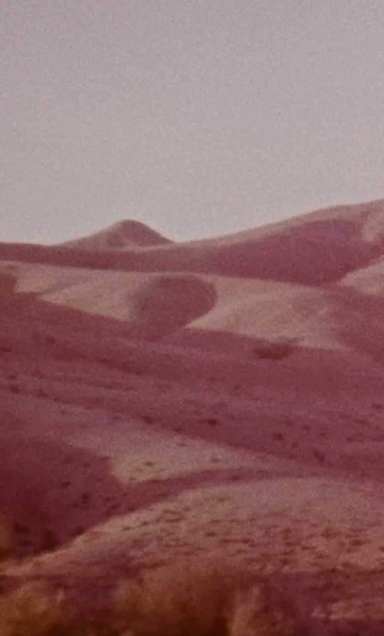 Paper | Massimo Dutti