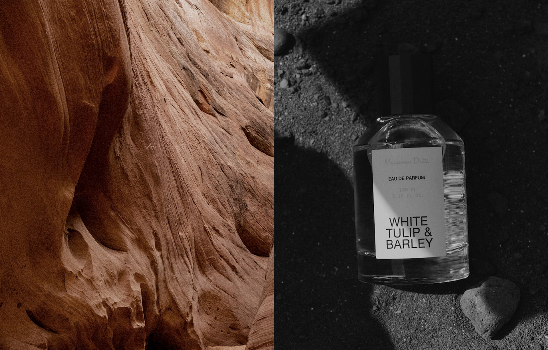 Paper | Massimo Dutti