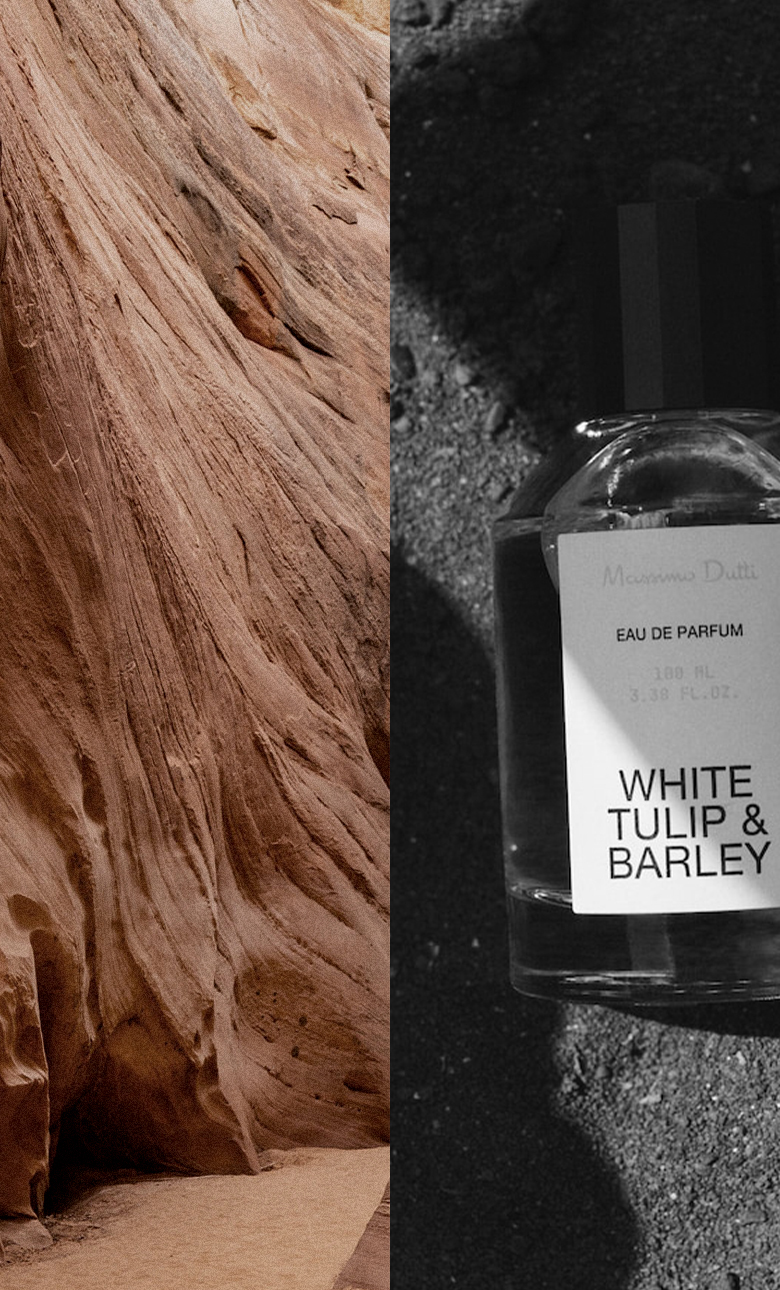 Paper | Massimo Dutti