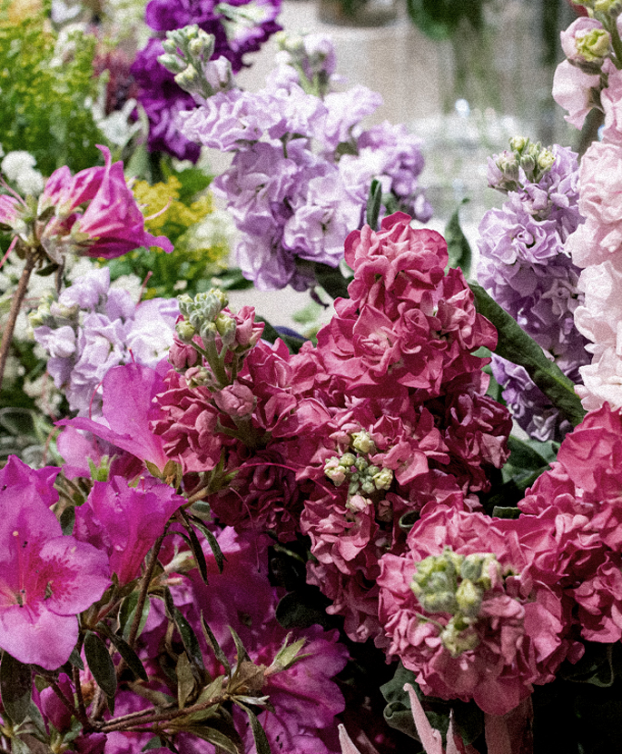 Flower season | Paper