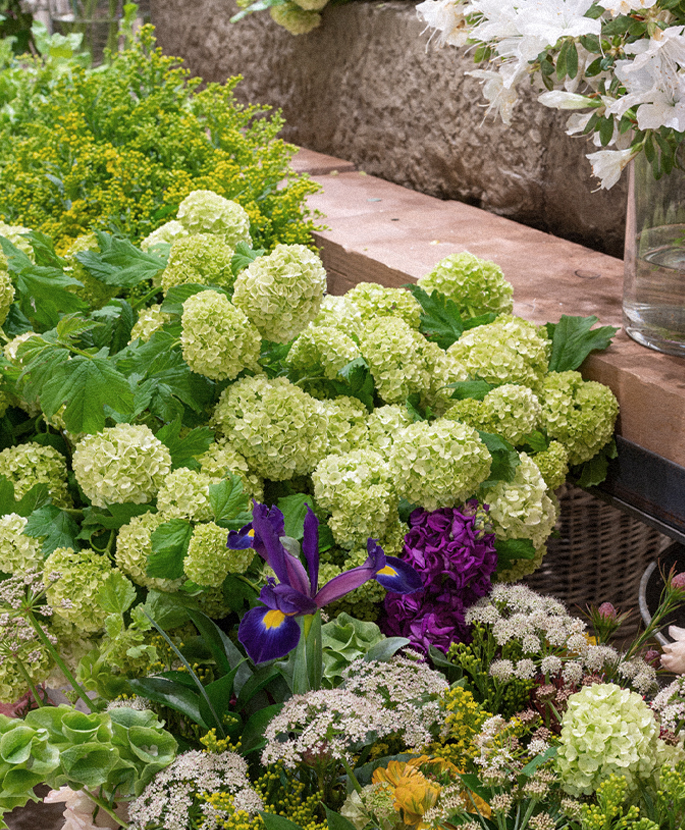 Flower season | Paper