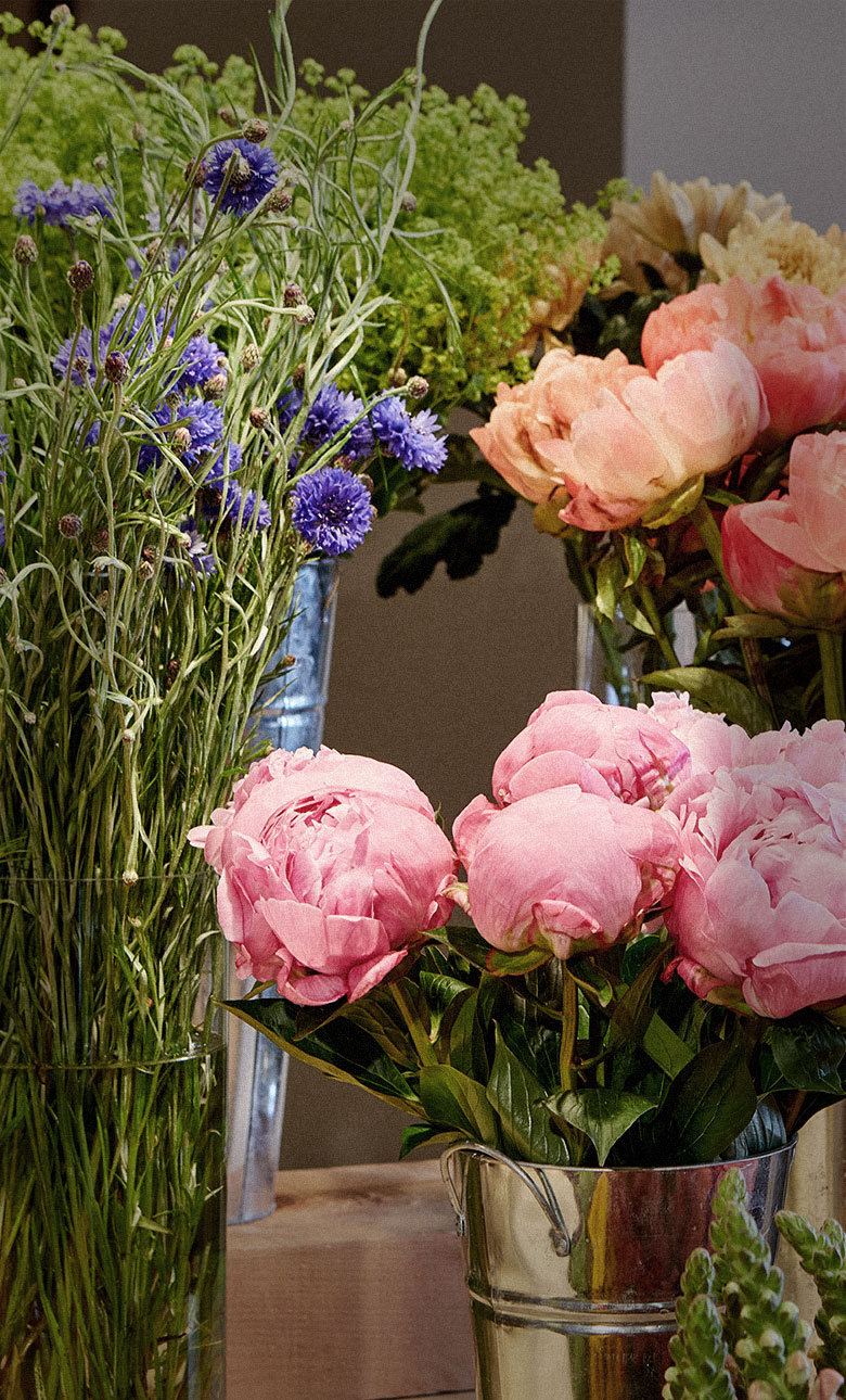 Paper | Massimo Dutti