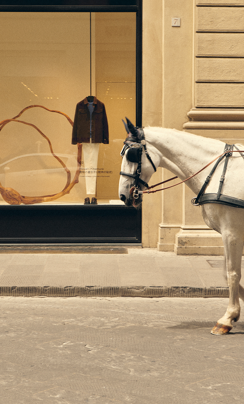 Paper | Massimo Dutti