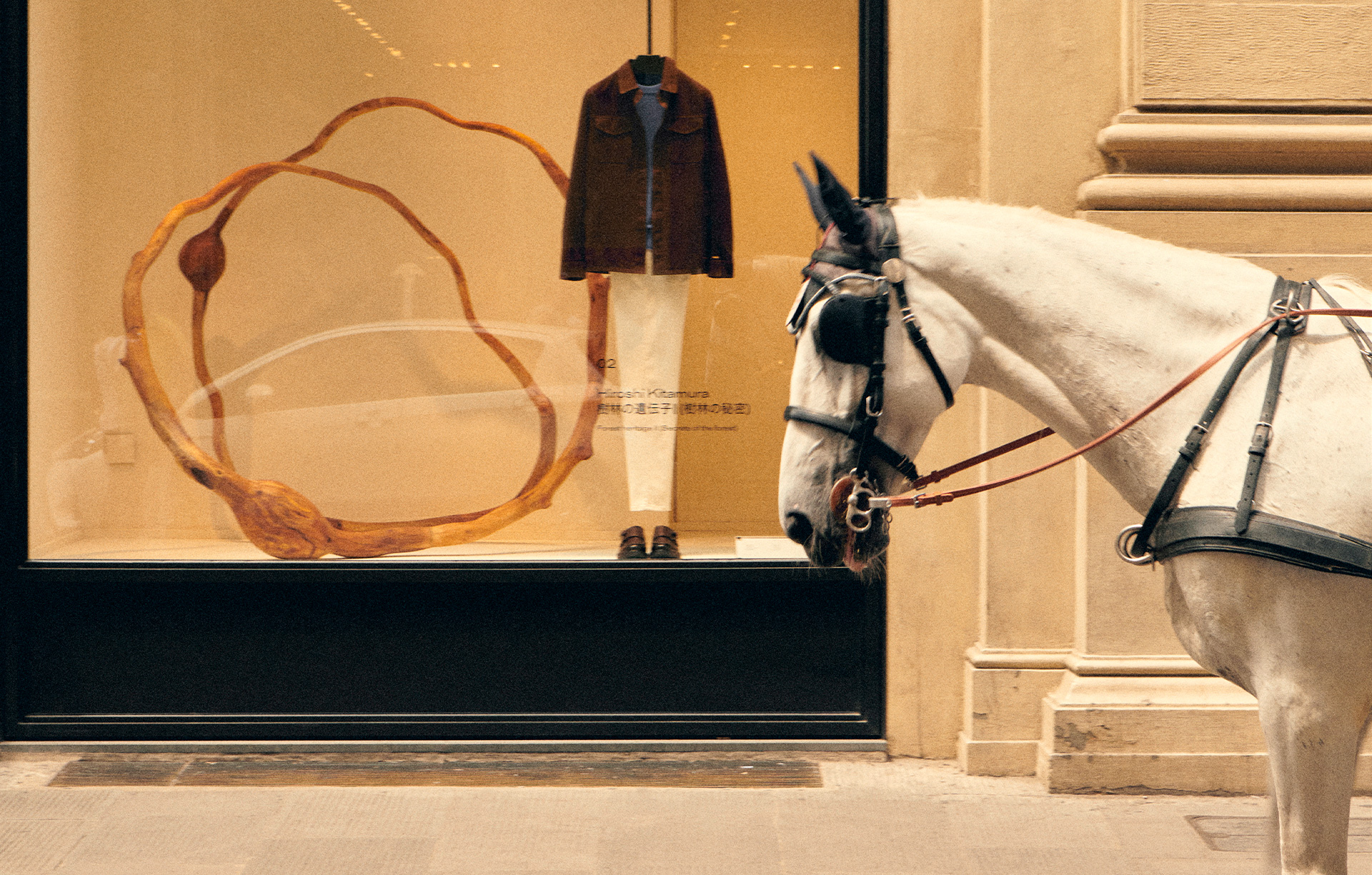 Paper | Massimo Dutti