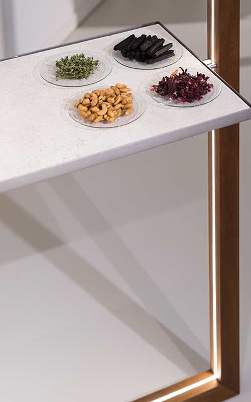 Massimo Dutti New Icons