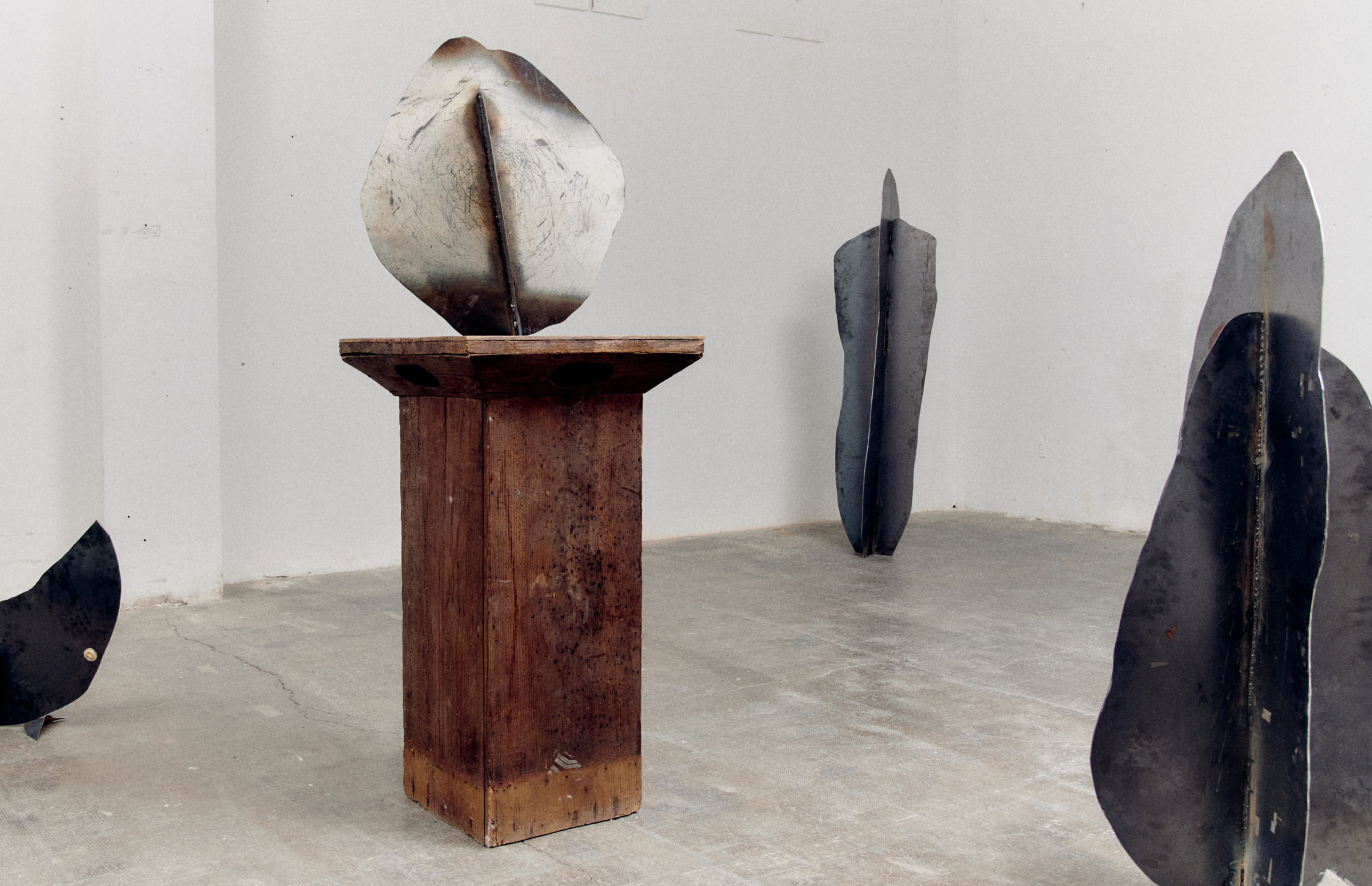 Paper | Massimo Dutti