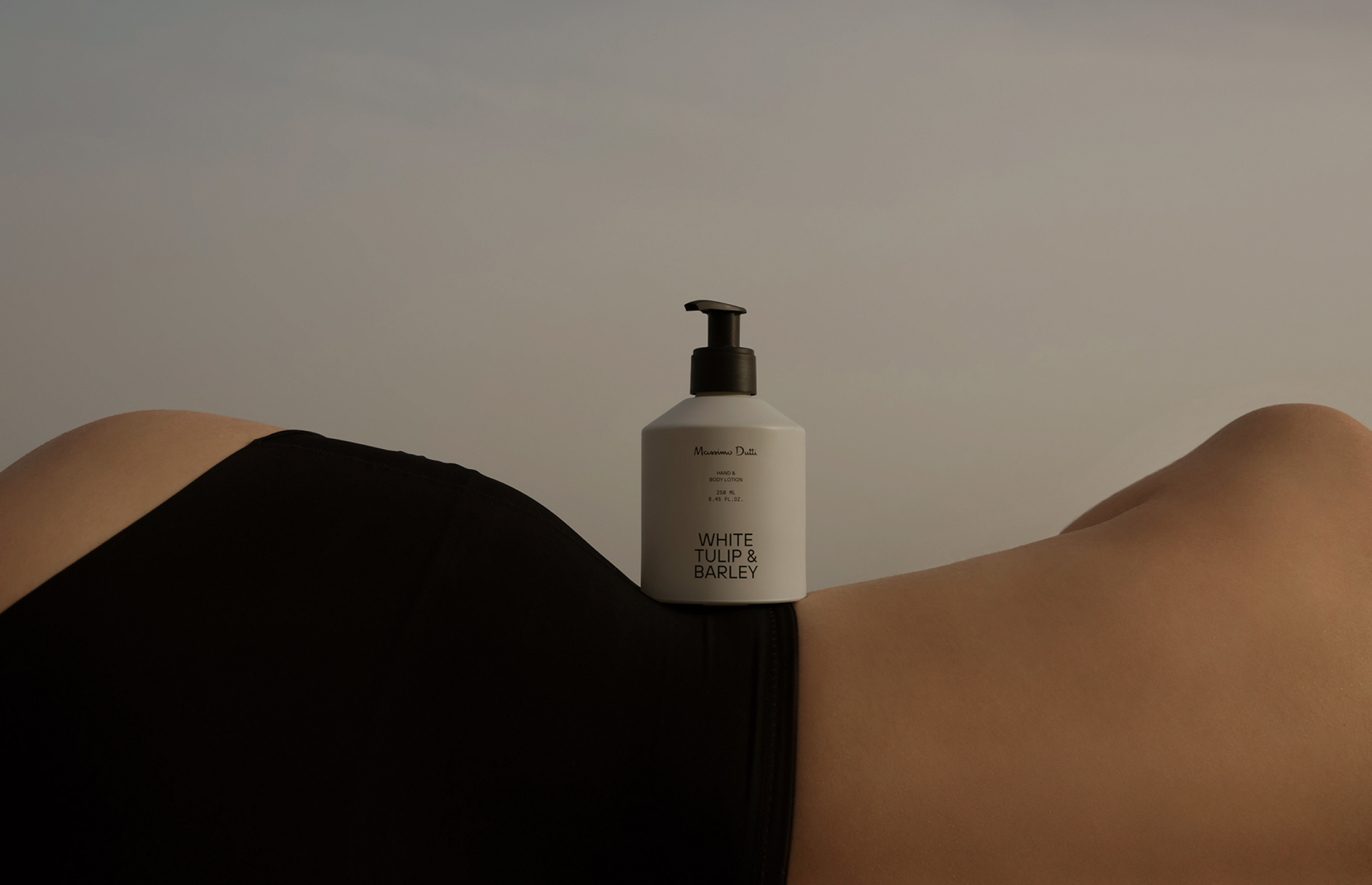 Paper | Massimo Dutti