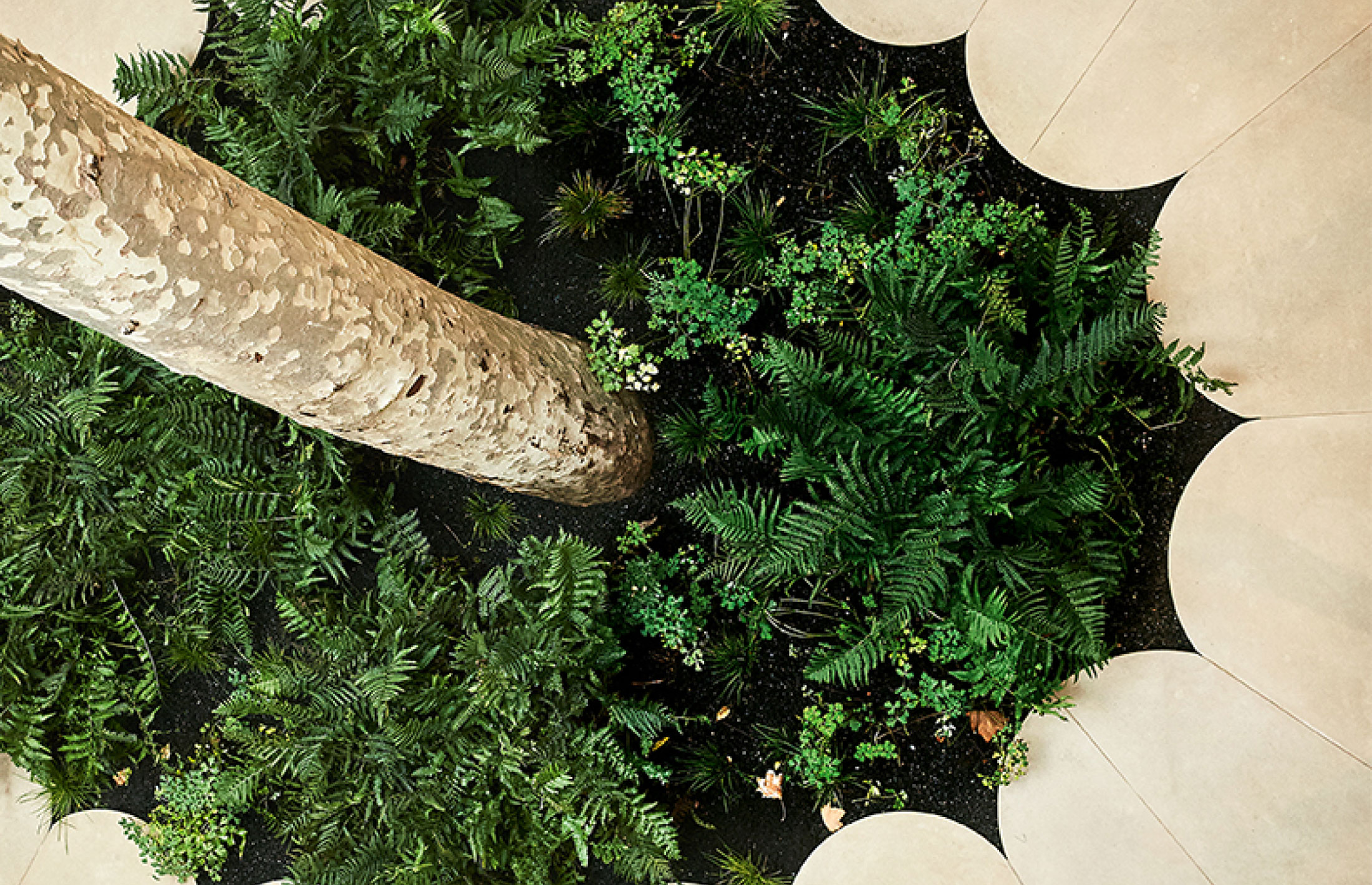 Paper | Massimo Dutti