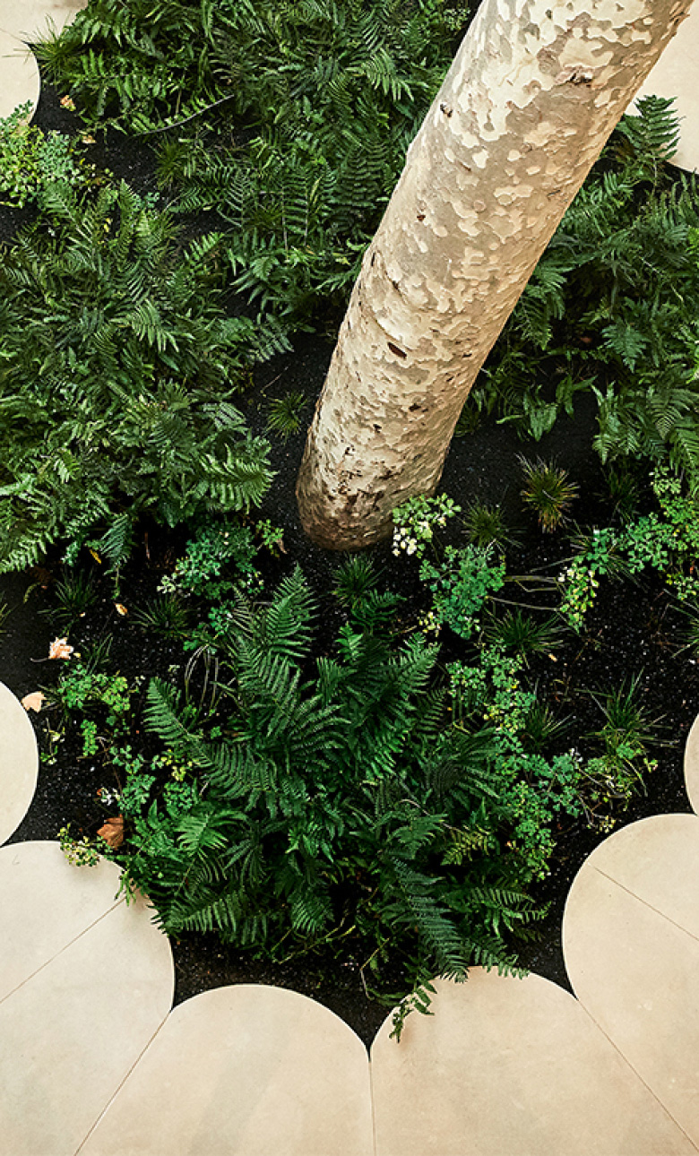 Paper | Massimo Dutti