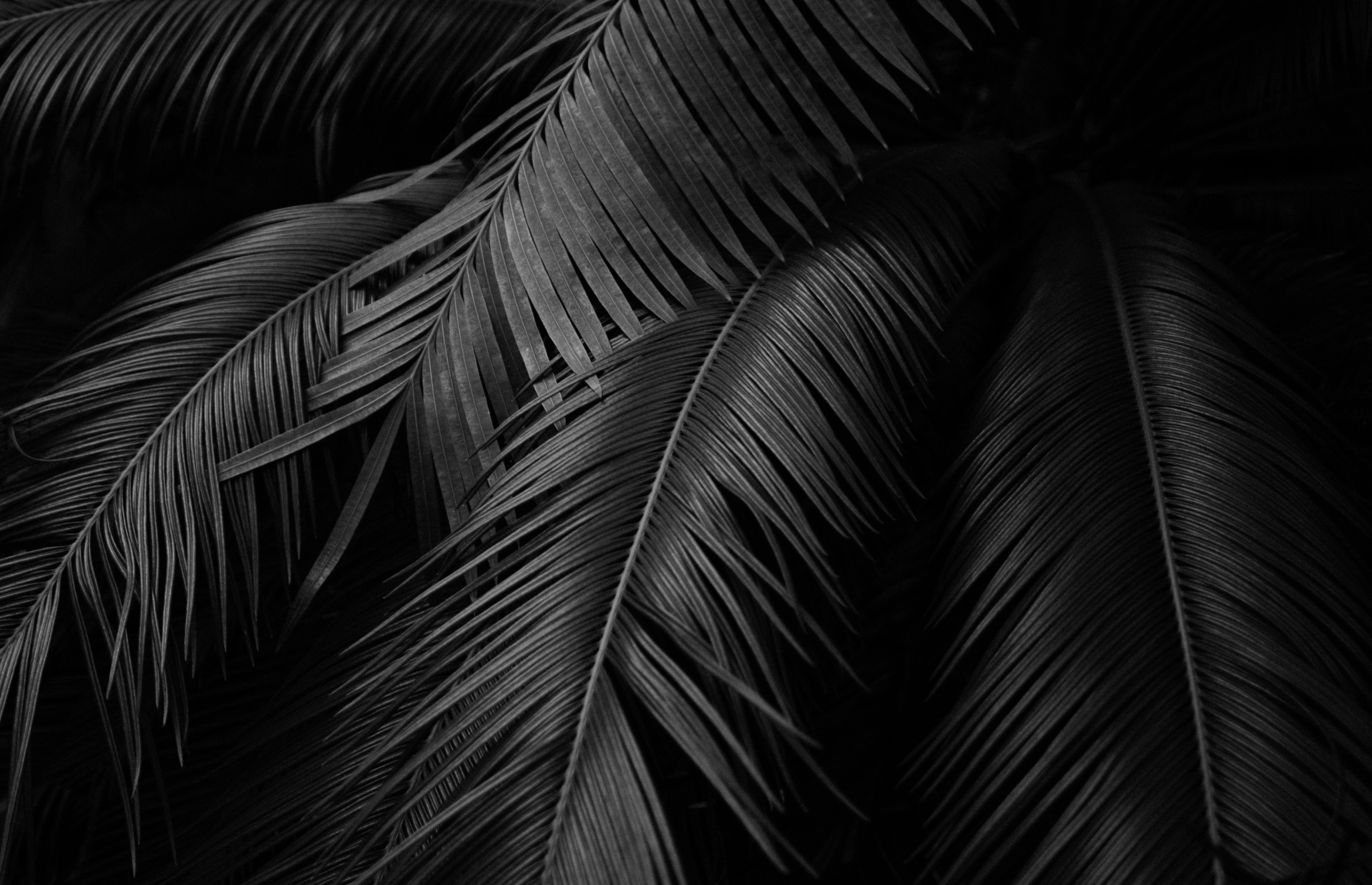 Paper | Massimo Dutti