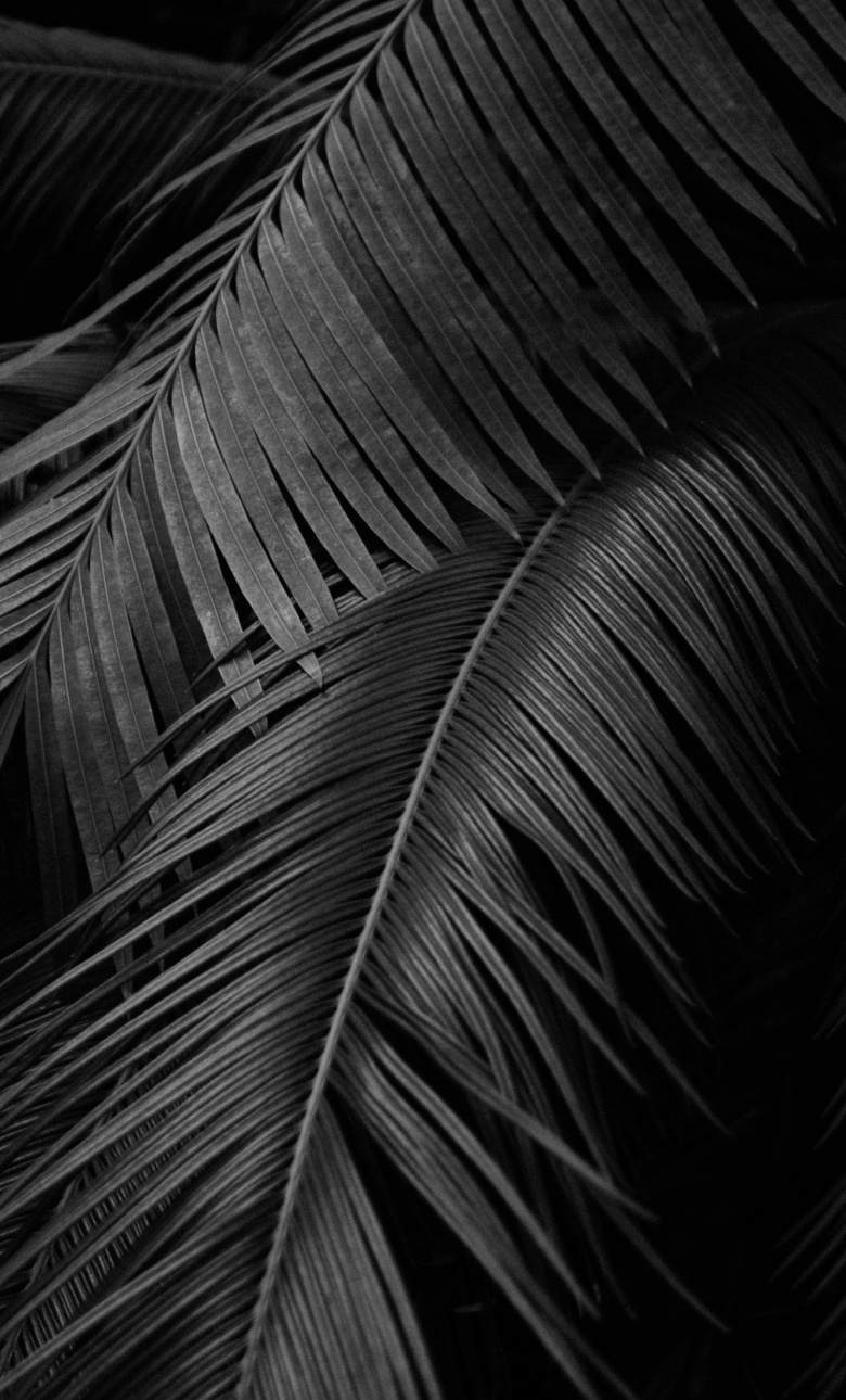 Paper | Massimo Dutti