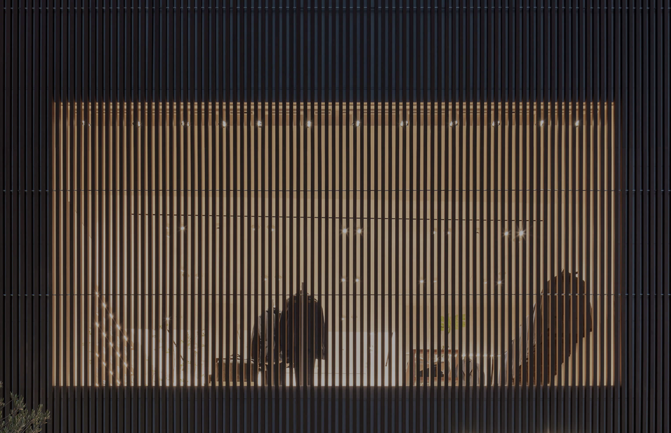 Paper | Massimo Dutti