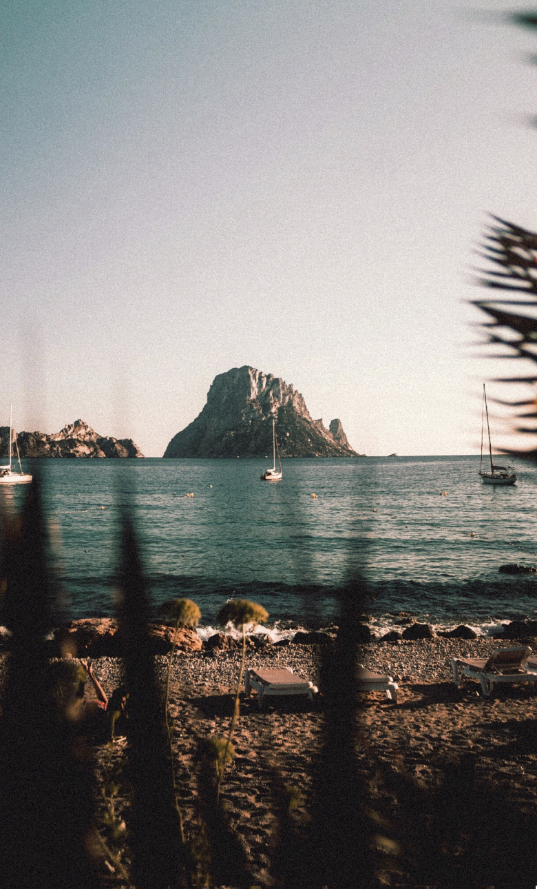 Paper | Massimo Dutti