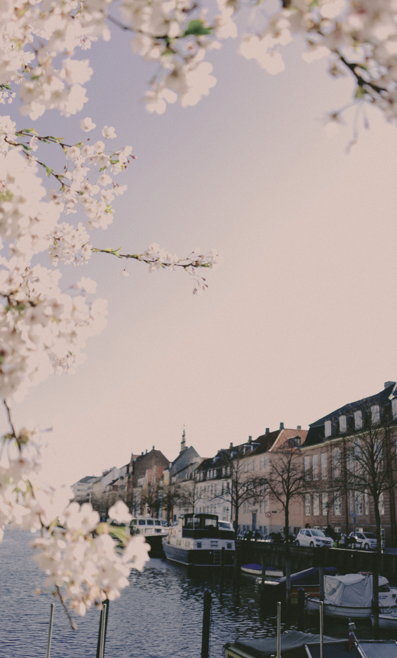 Paper | Massimo Dutti