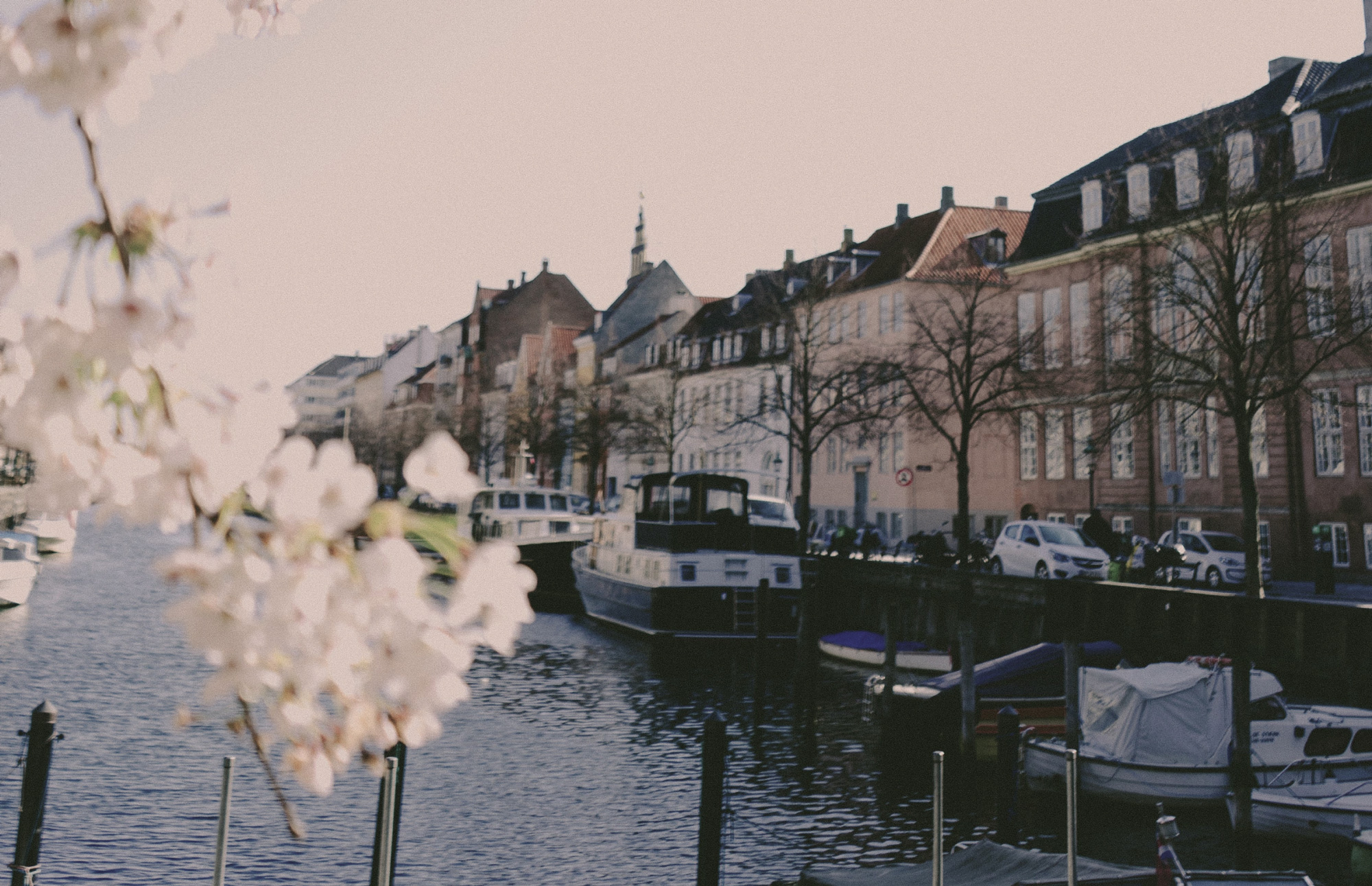 Paper | Massimo Dutti