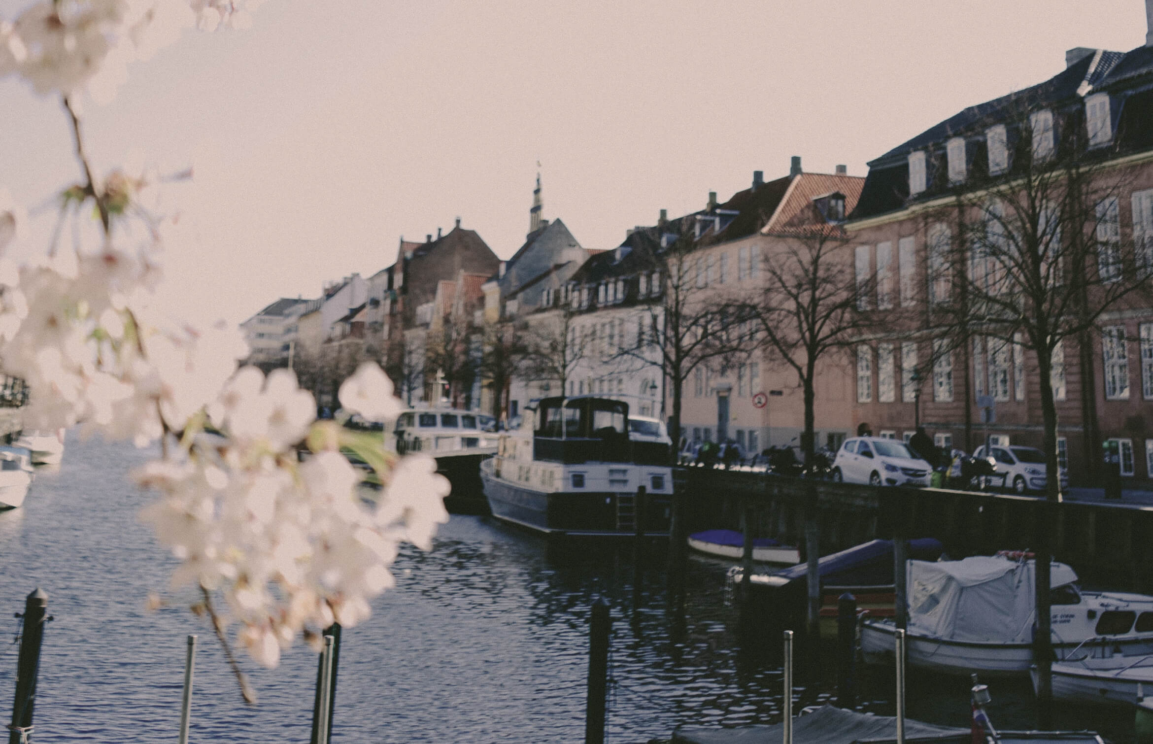 Paper | Massimo Dutti