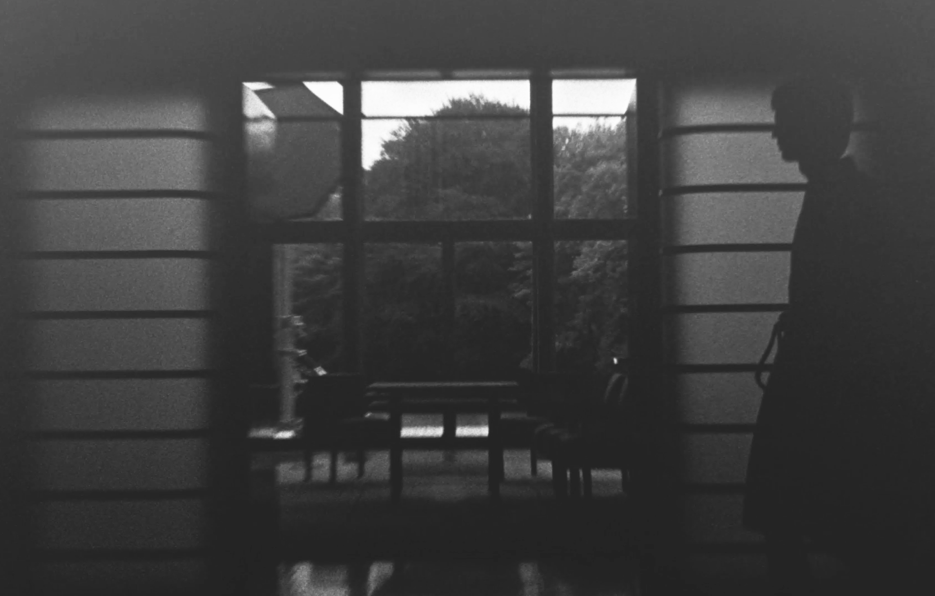 Paper | Massimo Dutti