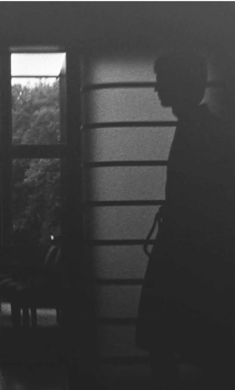 Paper | Massimo Dutti