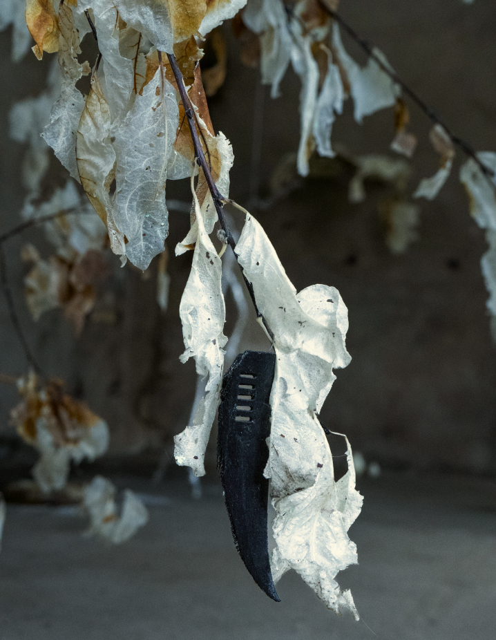 Luca Vanello. Florence