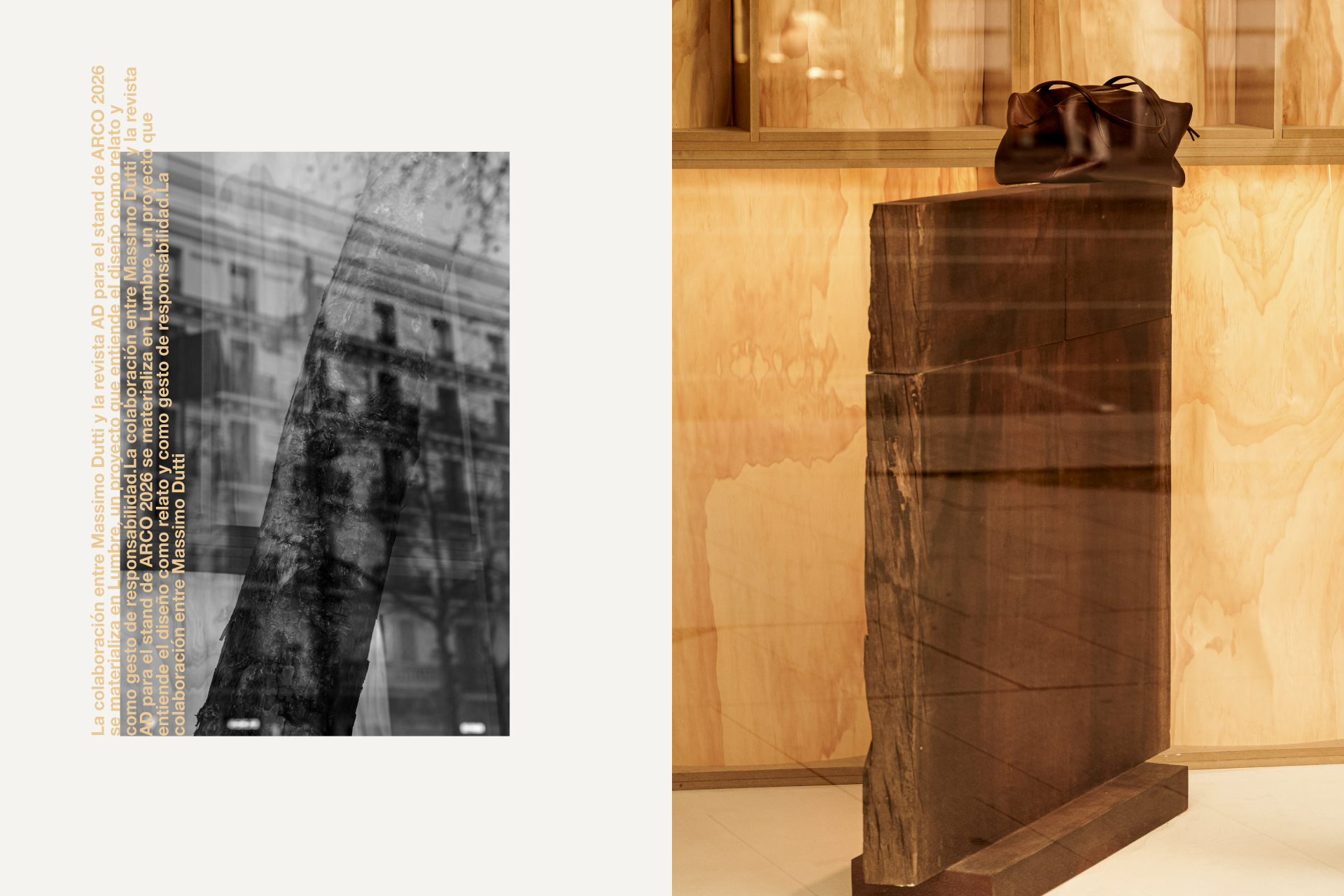 Arco ‘26. The Windows