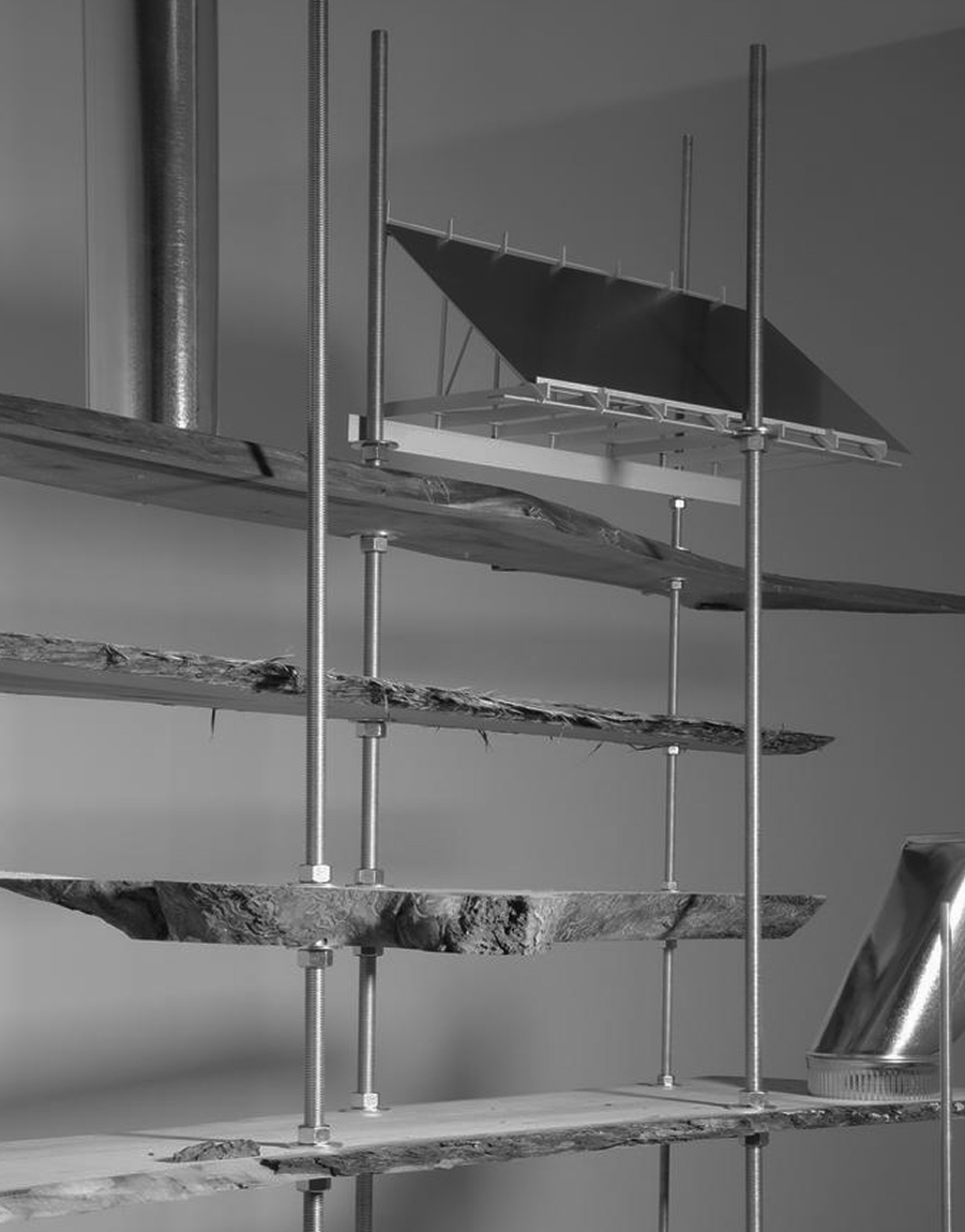 salazarsequeromedina