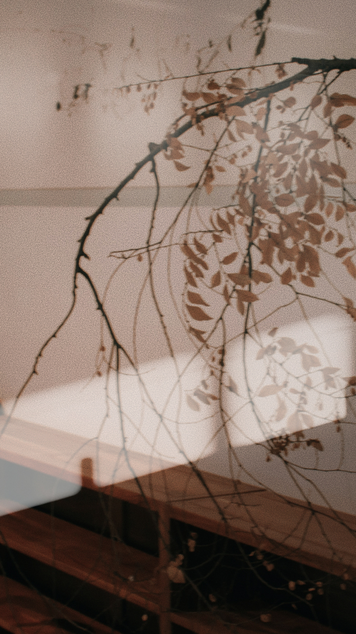 Paper | Massimo Dutti