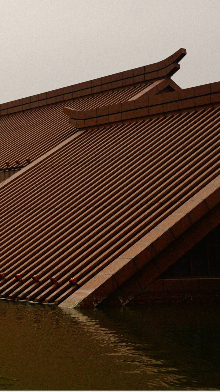 Paper | Massimo Dutti