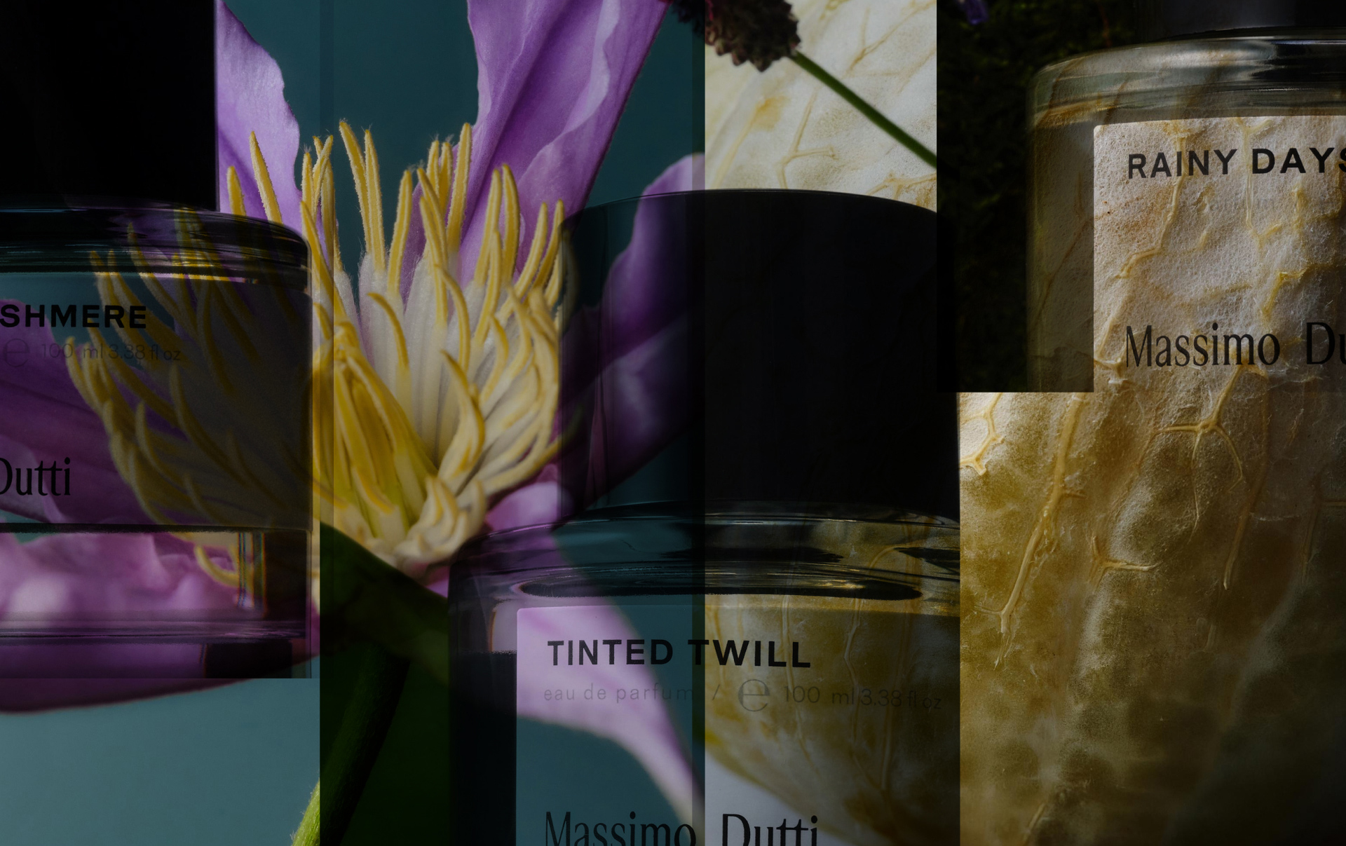 Paper | Massimo Dutti