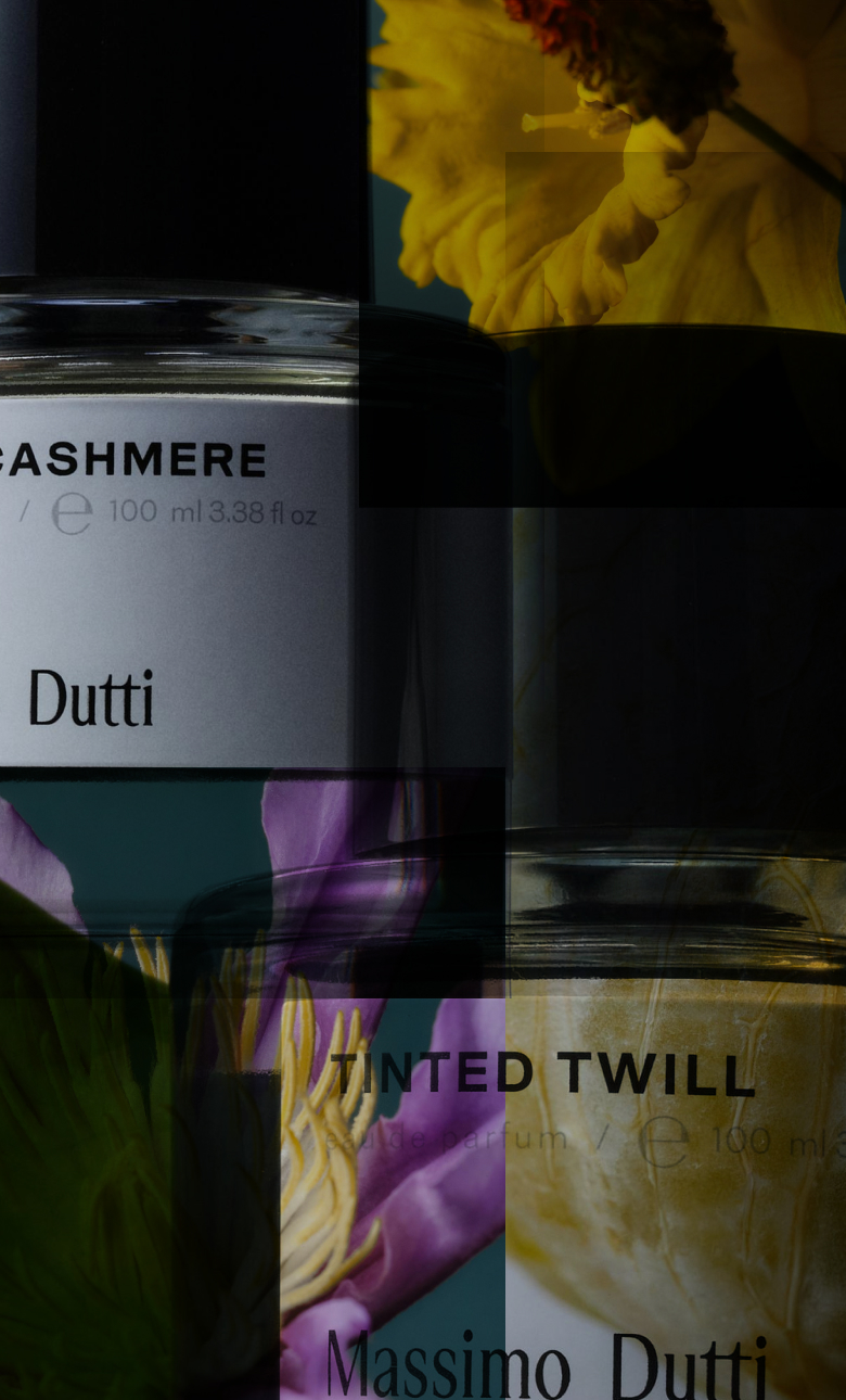Paper | Massimo Dutti