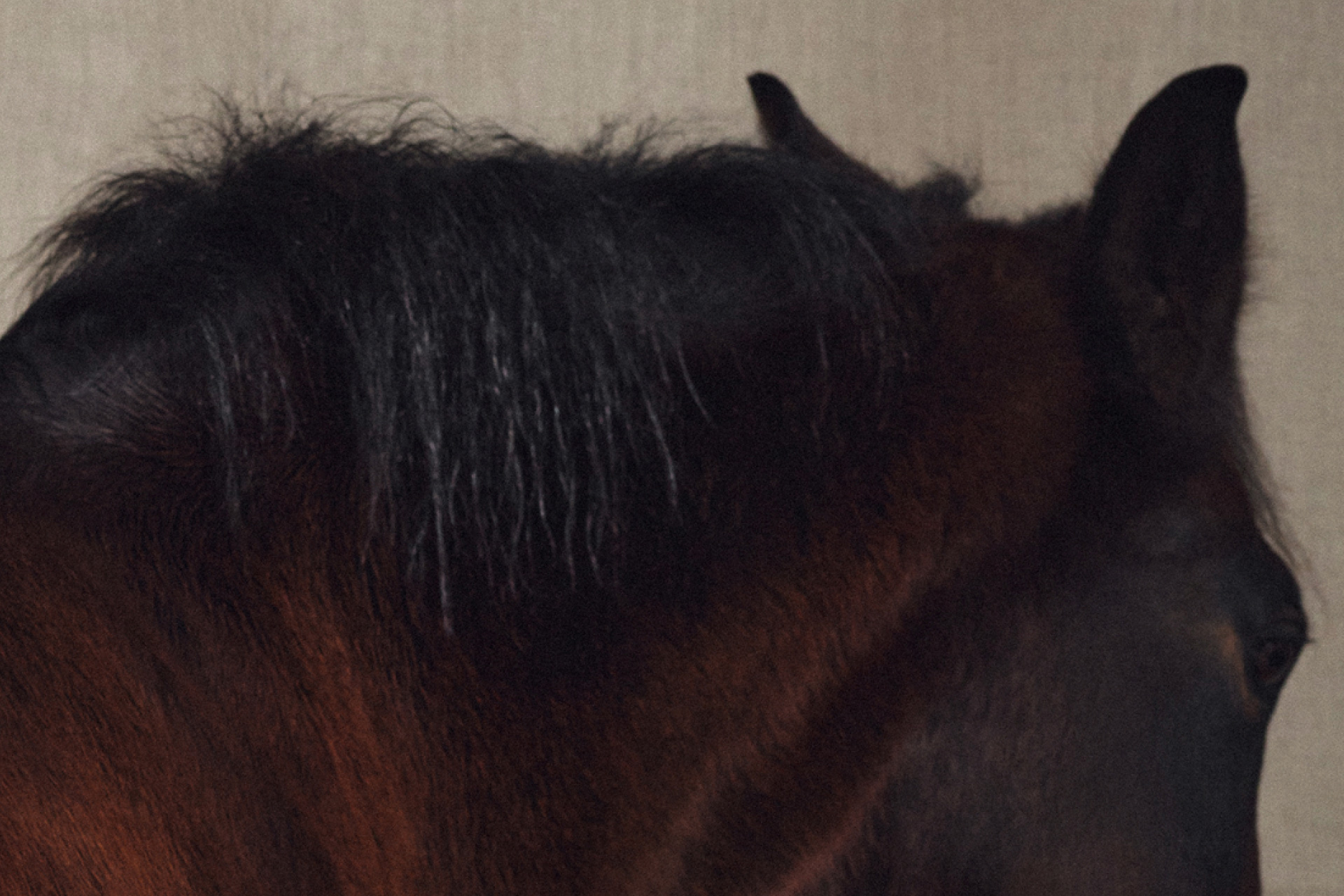 Paper | Massimo Dutti