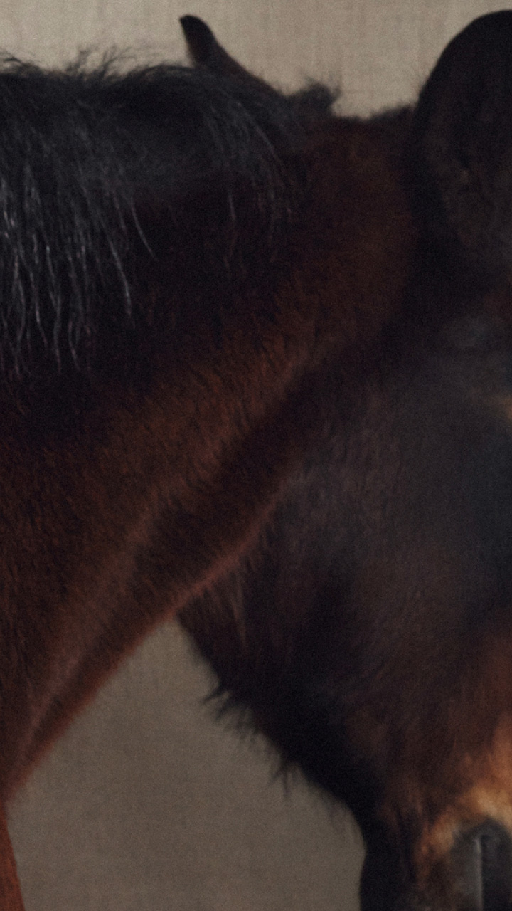 Paper | Massimo Dutti