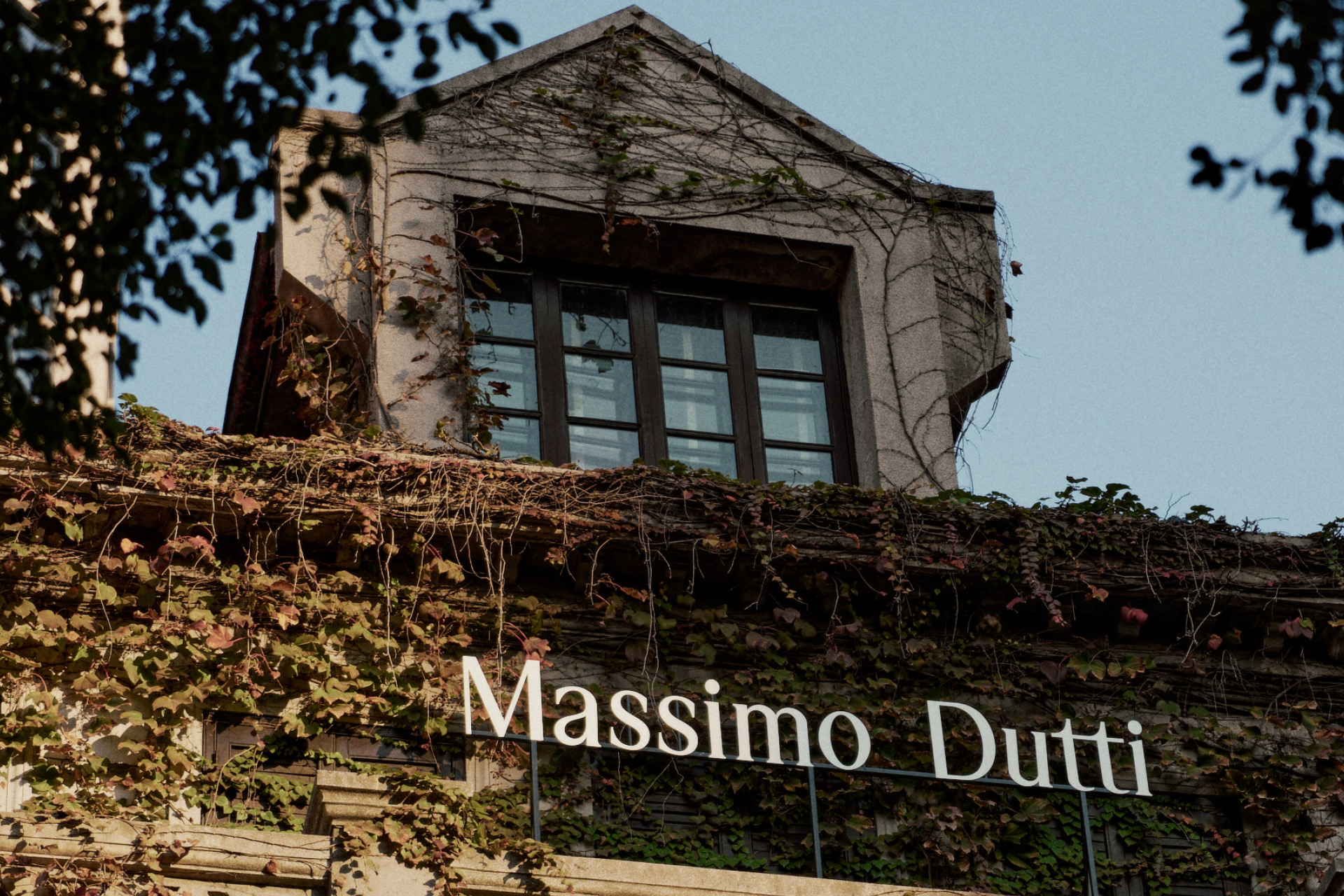 Paper | Massimo Dutti