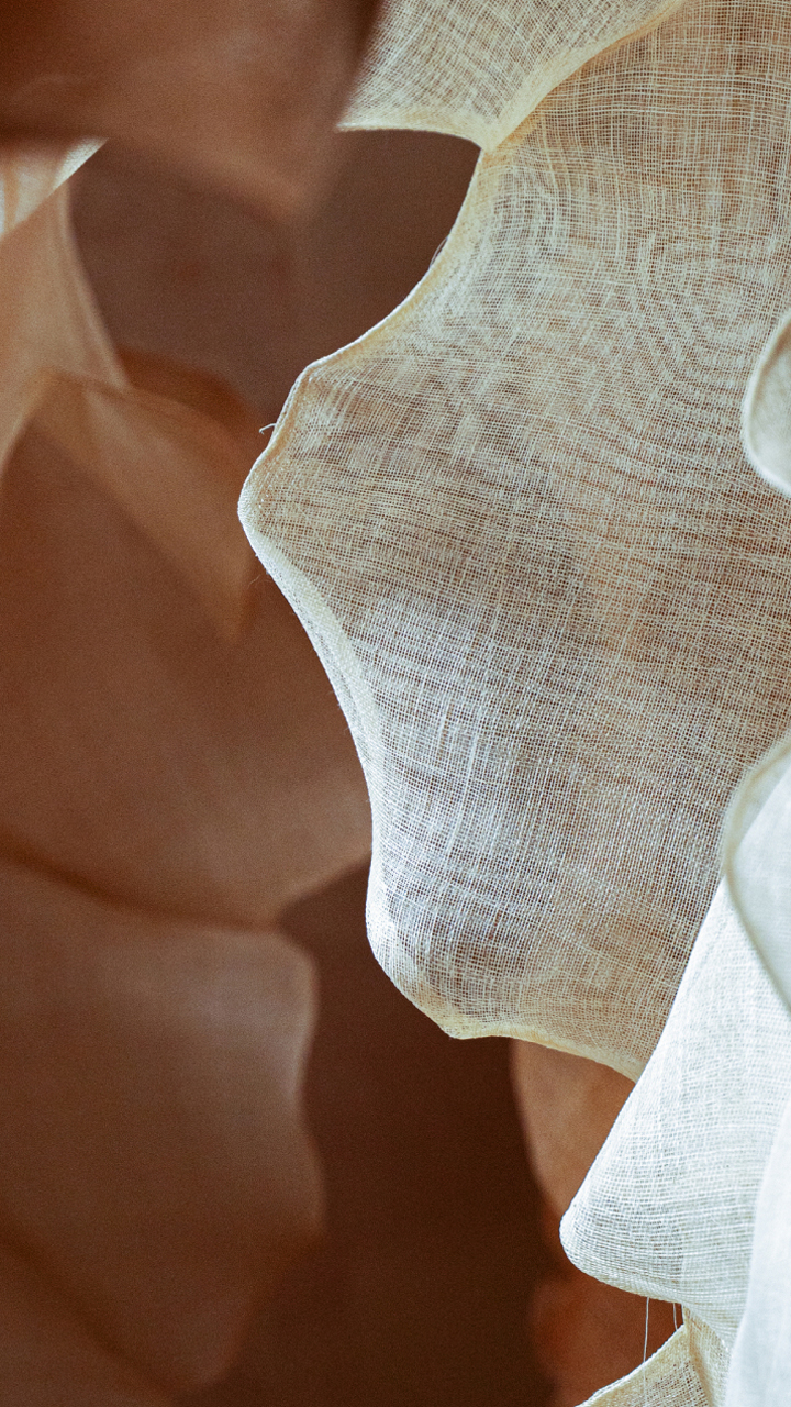 Paper | Massimo Dutti