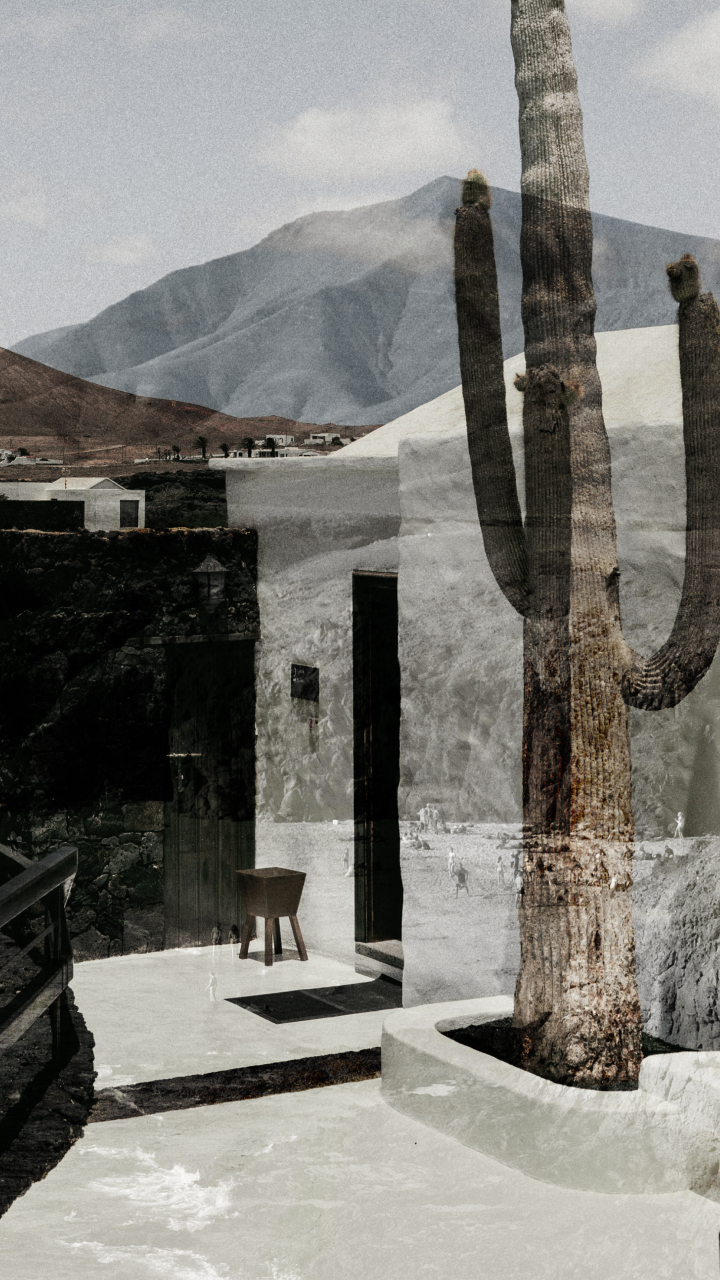 Paper | Massimo Dutti