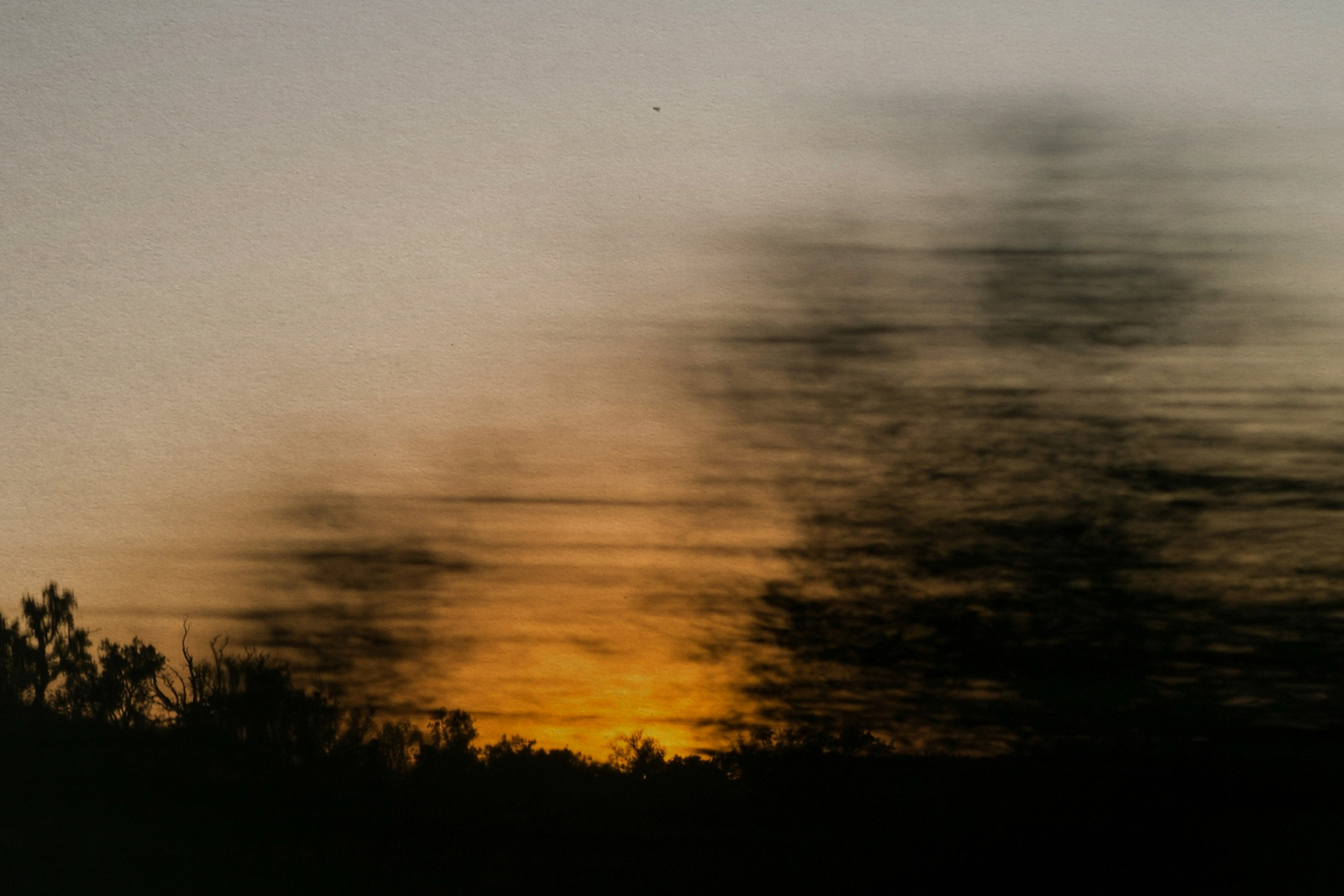 Paper | Massimo Dutti