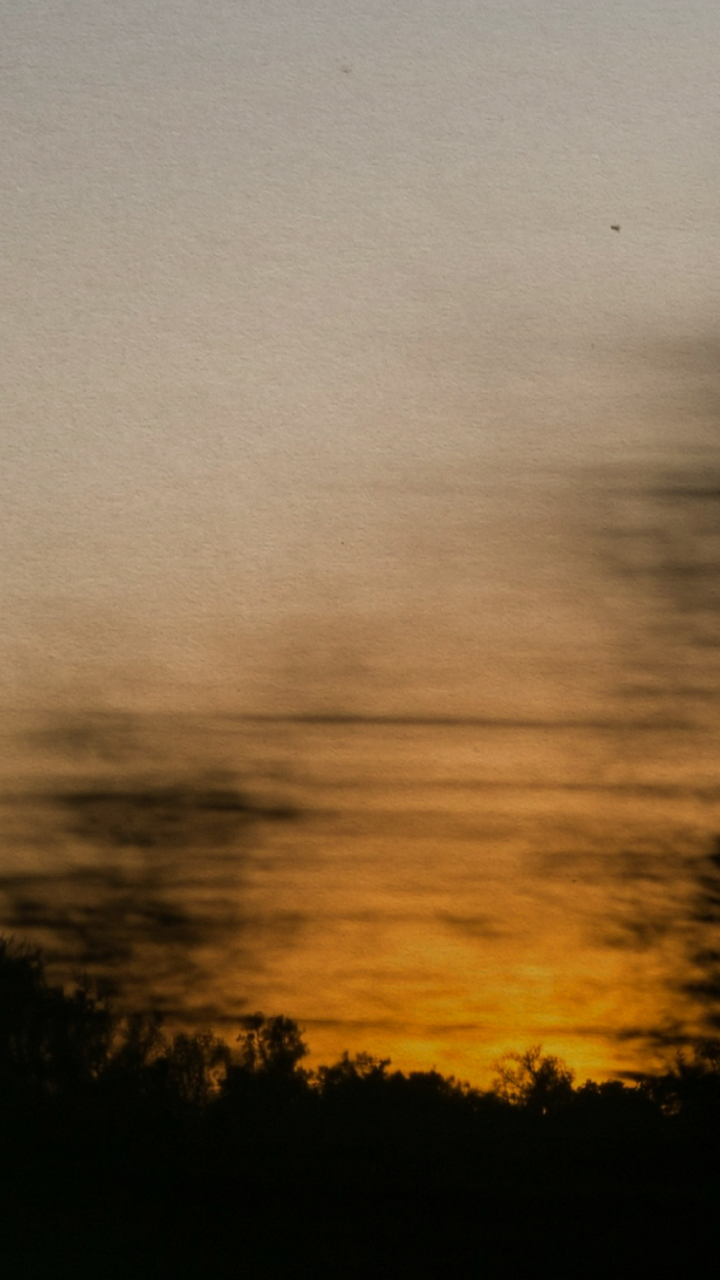 Paper | Massimo Dutti